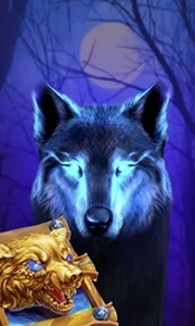 Book Of The Night Wolf